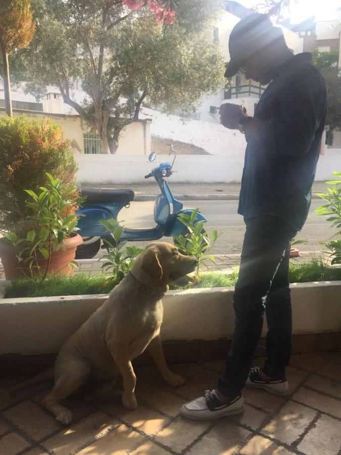 Pensjonat Camlikosk Bodrum