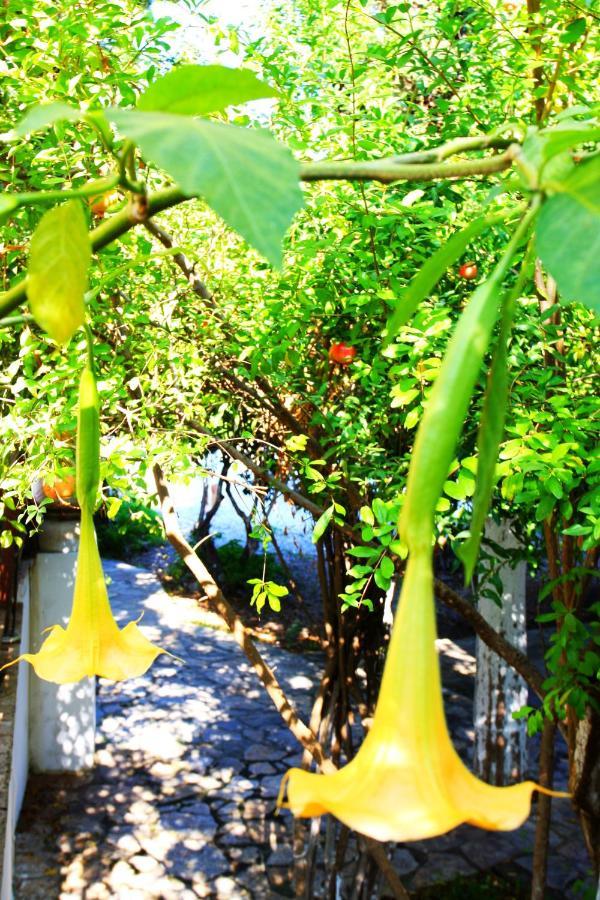 Pensjonat Camlikosk Bodrum